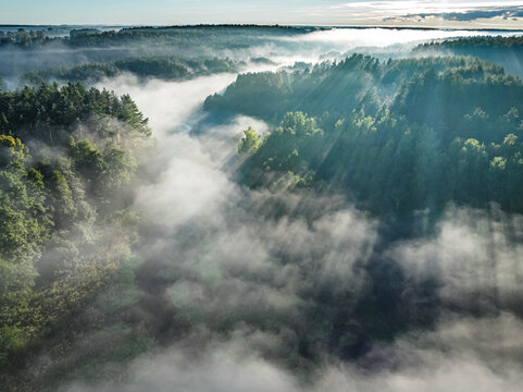 Foggy forest and valley with river at sunrise in autumn.