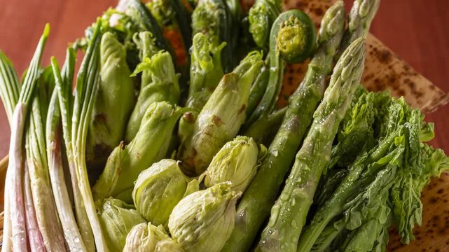 Fresh Hokkaido spring wild vegetables including asparagus, kogomi fern, aralia bud and wild garlic in wooden basket revealed by slow panning camera

