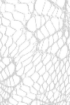 Abstract halftone pattern with organic cellular shapes and dot texture
