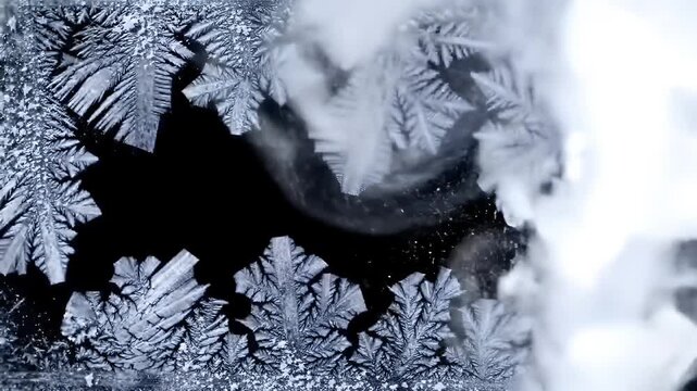 Intricate frost patterns form delicate crystalline structures on a dark background.