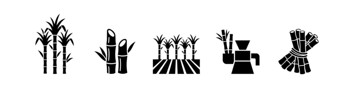 Black silhouette icons of sugarcane plants, stalks, fields, and processing equipment.