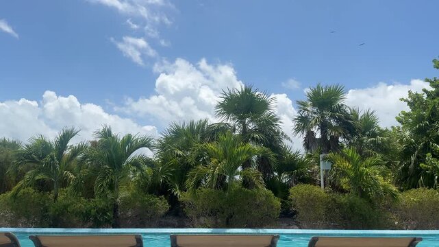 Luxury Swim-Up Pool Lounge Chairs Beneath Circling Magnificent Frigatebirds