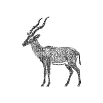 Sketch black and white hartebeest icon design