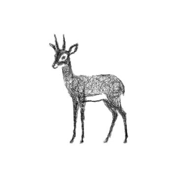 Black and white sketch dik dik icon design