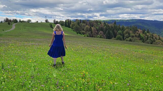 Purple Viper's-grass in natural ambient, field, woman walking (Scorzonera purpurea) - (4K)
