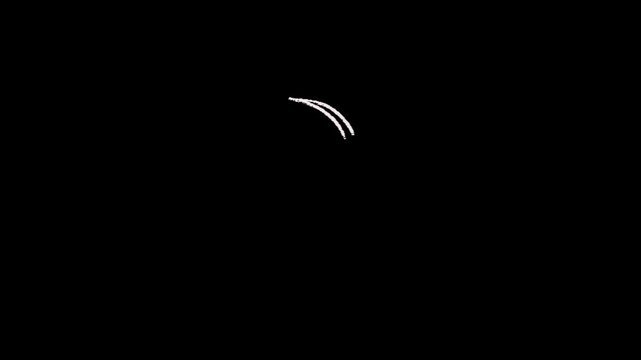A minimalist white line drawing of a stylized plant or flower on a black background with a single curved stem and spiral design