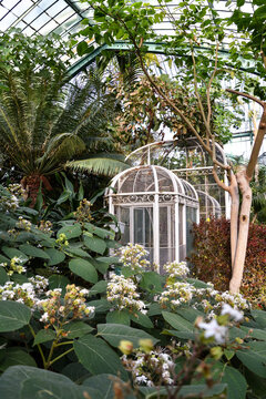 White Vintage Cage at a Botanical Garden in Paris, France
