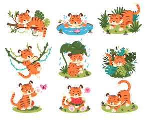Obraz premium Tiger Cub Activity Set Woodland Cartoon