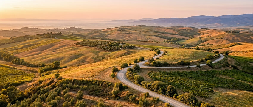 Winding country road through rolling hills and vineyards at sunset.