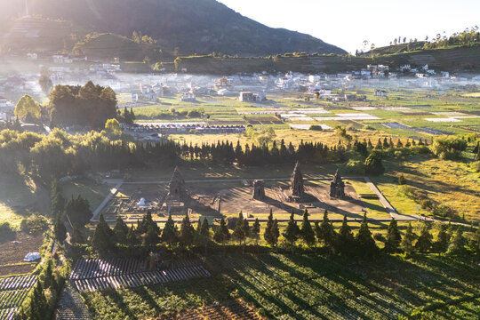 Aerial view of the ancient Arjuna Temple complex surrounded by lush agricultural fields, rows of pine trees, and misty mountains in the Dieng Plateau, Indonesia.
