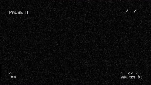 Authentic retro vhs pause screen with analog noise and static grain
