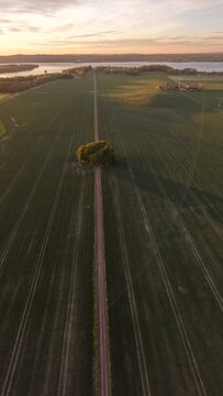 Aerial view of the straight road leading towards Bj&auml;rka-S&auml;by New Castle (Nya Slottet) in Sweden. Cinematic drone perspective of a rural road and historic European architecture.