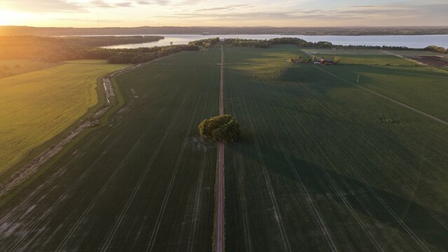 Aerial view of the straight road leading towards Bj&auml;rka-S&auml;by New Castle (Nya Slottet) in Sweden. Cinematic drone perspective of a rural road and historic European architecture.