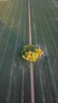 Aerial view of the straight road leading towards Bj&auml;rka-S&auml;by New Castle (Nya Slottet) in Sweden. Cinematic drone perspective of a rural road and historic European architecture.