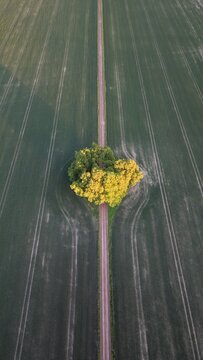 Aerial view of the straight road leading towards Bj&auml;rka-S&auml;by New Castle (Nya Slottet) in Sweden. Cinematic drone perspective of a rural road and historic European architecture.