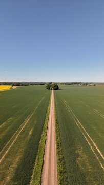 Aerial view of the straight road leading towards Bj&auml;rka-S&auml;by New Castle (Nya Slottet) in Sweden. Cinematic drone perspective of a rural road and historic European architecture.