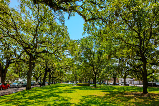 Emmet Park Savannah Georgia circa 2026 stock photo