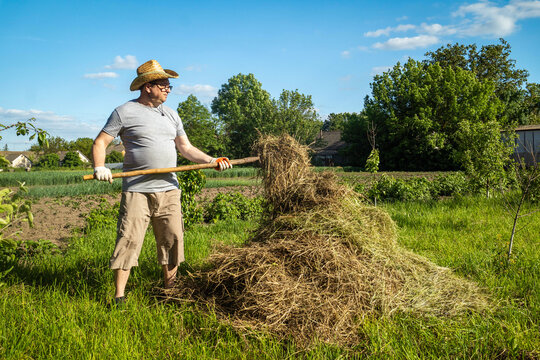 A person works in a field during summer, moving fresh hay into a pile. The setting includes trees and a clear sky. The labor helps prepare the land for future use
