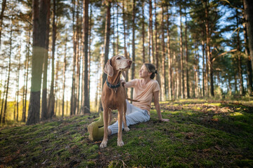 Obraz premium Woman pet owner lounging on green moss in forest at golden hour with Vizsla dog. Calm female unwinding in nature, woodland break after walk, enjoying quiet time, leisure in summer nature. 