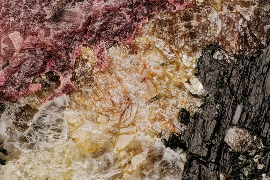 Macro image of rare minerals captured with 5X microscope objective lens: pink eudialyte, dark aegirine and yellow titanite in Khibiny rock