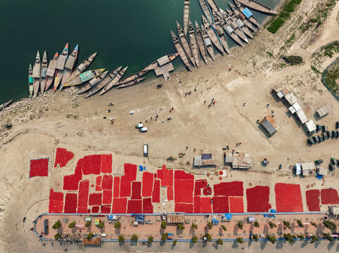 Aerial view of red chilies drying on the ground near a riverbank with wooden boats moored along the shore in Bogura, Rajshahi Division, Bangladesh.