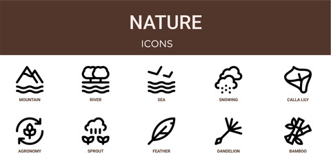 Fototapeta premium Set of 10 outline web Nature icons such as bamboo, dandelion, feather, sprout, agronomy, calla lily, snowing vector icons for report, presentation, diagram, web design, mobile app