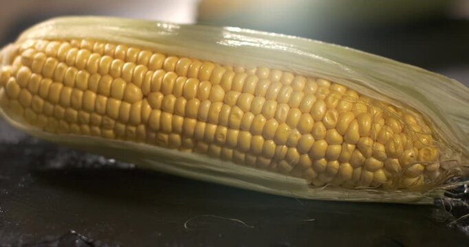 Slow motion of corn kernels sliding on a wet surface