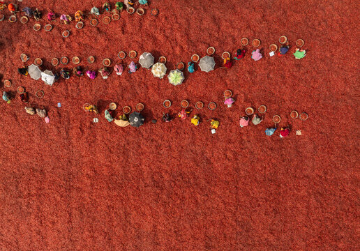 Aerial view of workers drying red chilies in a field with baskets and umbrellas in Bogura, Rajshahi Division, Bangladesh.