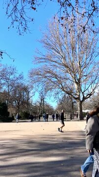 Tr&aacute;nsito personas time lapse peatones velocidad r&aacute;pida movimiento acelerado circulaci&oacute;n oto&ntilde;o y actividad plaza con &aacute;rbol y ramas