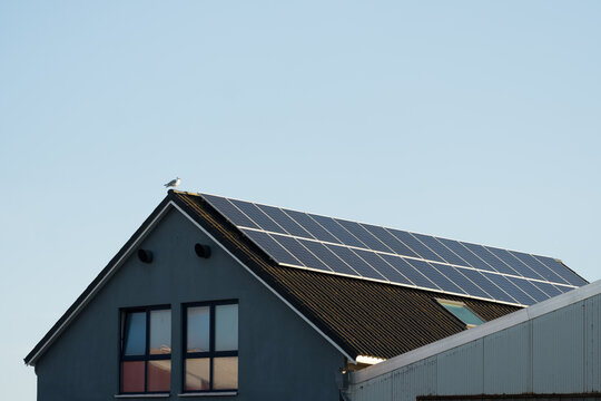 Solar Panels Mounted on Black Rooptop House with Single Seagull, The Concept of Clean Energy