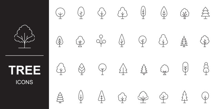 Tree icons set. Linear style. Plant line icons. Simple line outline forest and nature symbols collection, minimalist woodland plants and park pictograms, clean linear vector. 