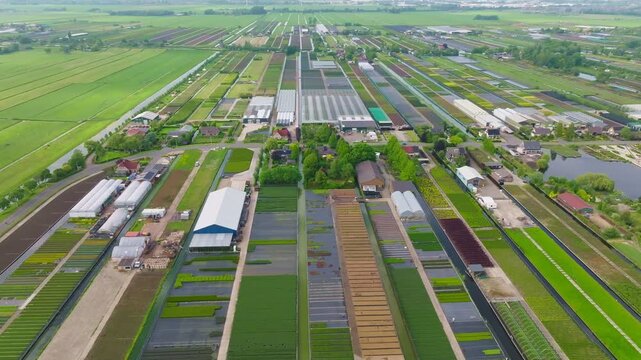 Aerial drone flying over Dutch nursery fields and greenhouse polder canals