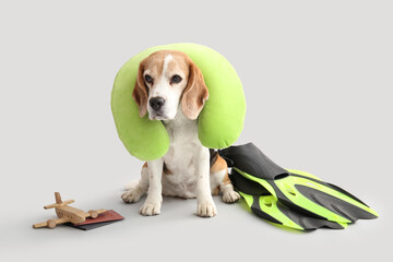Cute dog in neck pillow lying near flippers on white background © Pixel-Shot