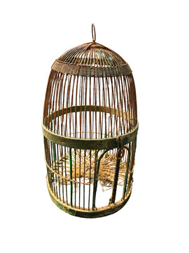 Isolated view of an empty antique wire birdcage with a rustic, weathered patina and green paint accents on transparent