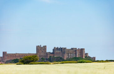 Naklejka premium Historic Bambourgh castle walls on summer meadow, United Kingdom