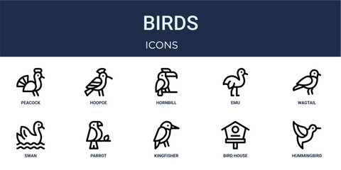 Set of 10 outline Birds icons for reports, landing pages and application screens. Editable stroke icon pack including peacock, hoopoe, wagtail, swan and hummingbird. © Noah