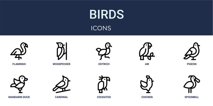 Set of 10 outline Birds icons for reports, landing pages and application screens. Editable stroke icon pack including flamingo, woodpecker, pigeon, mandarin duck and spoonbill.