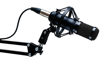Isolated professional studio condenser microphone with shock mount on boom arm for podcast © Andrei