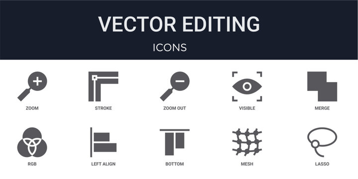 Set of 10 solid Vector Editing icons for dashboards, app screens and website sections. Filled glyph collection including stroke, visible, rgb, bottom alignment and mesh.