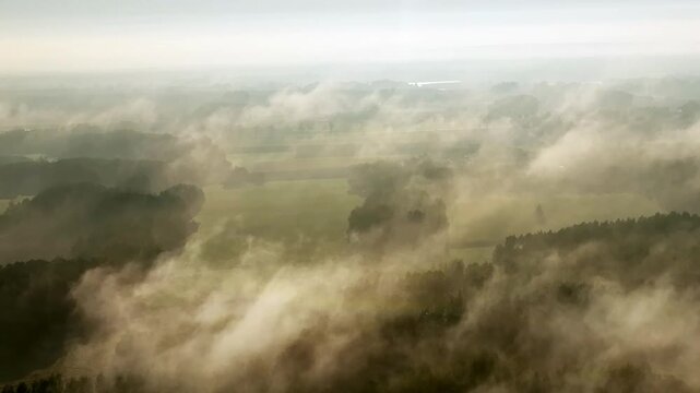 Polska, podlasie. Poranne mgły nad polami Biebrzy