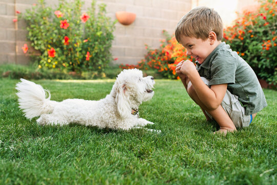 boy with dog
