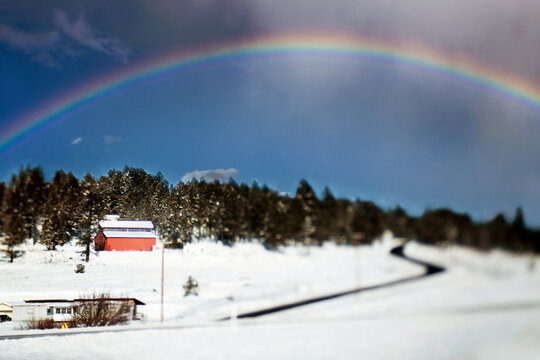 Rainbow over snowy road
