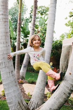 girl climbing tree
