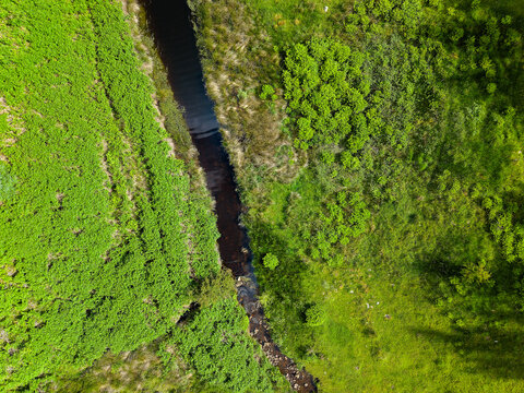 Drone shot looking directly down at a narrow stream flowing through green countryside