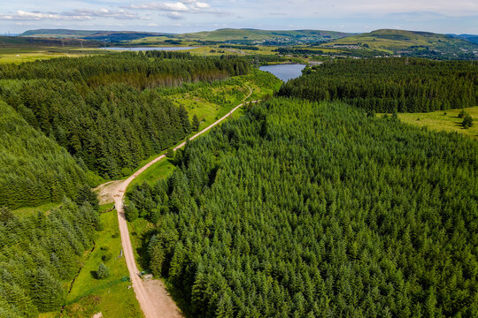 Flying over Carno Reservoir and dense green pine forest in Wales