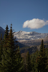 Obraz premium Beautiful rocky mountain overlook with a pine forest in the foreground of the image