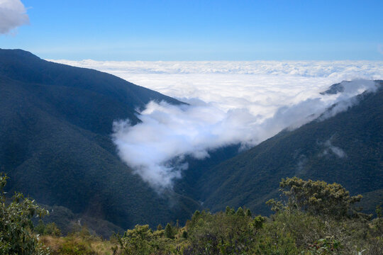 Peruvian cloudforest on Andean slopes covered by a blanket of clouds and fog in the gorges seen from a higher altitude, Peru.