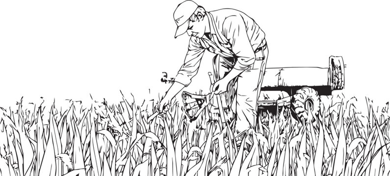 Man working in a field with a tractor illustration