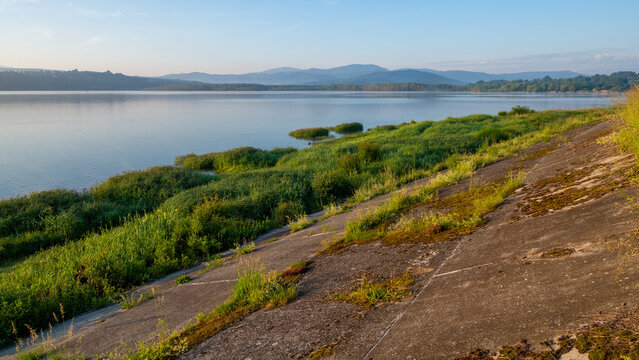 Lake shoreline with wild grass and concrete embankment at the morning, Żywiec Lake