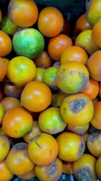 Close up full frame texture of fresh ripe lulo fruits pile or naranjilla exotic tropical fruit at market display